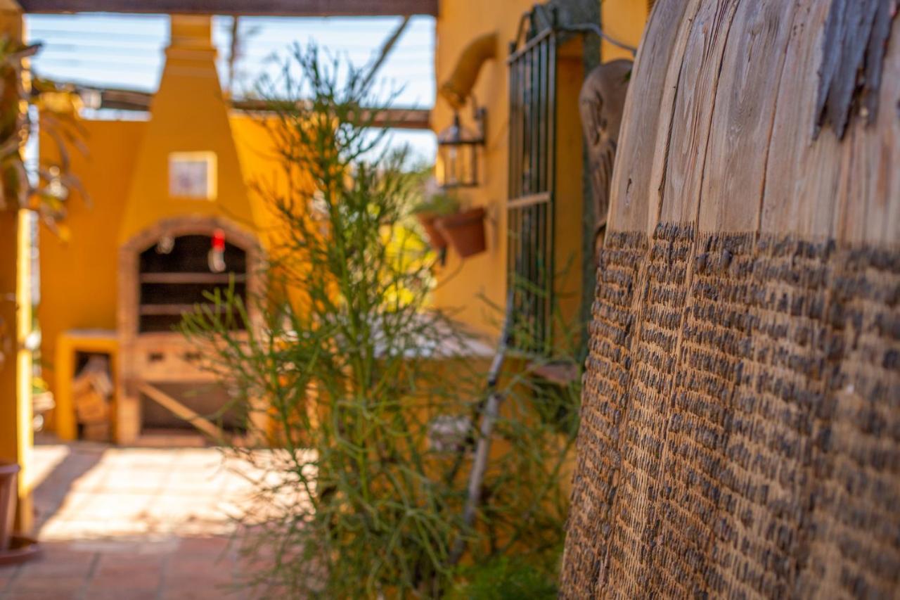 Hanami Finca Cumbres Borrascosas エステポナ エクステリア 写真